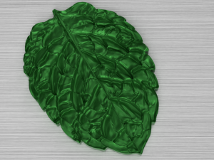 green leaf 2 3D Model