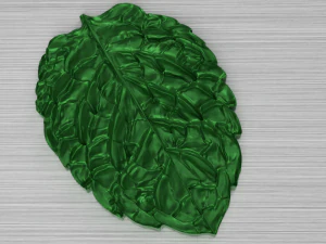 foglia verde 2 Modello 3D