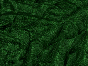green leaf 2 3D Model