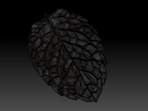 green leaf 2 3D Model