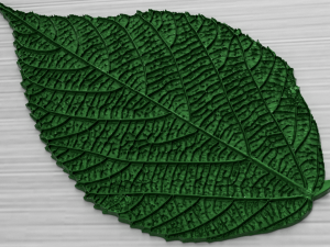 green leaf 3 3D 모델