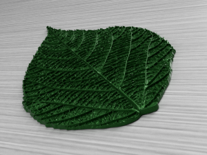 green leaf 3 3D 모델