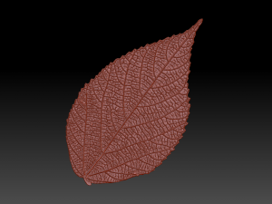 green leaf 3 3D 모델