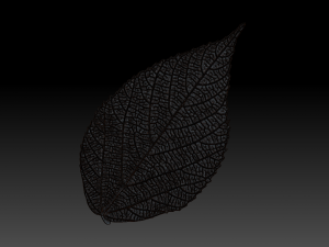 green leaf 3 3D 모델