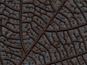 green leaf 3 3D 모델
