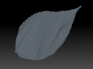 green leaf 3 3D 모델