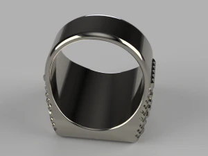 spiral ring 3D Model