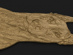 doberman cnc Modelo 3D