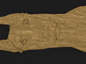 doberman cnc Modelo 3D