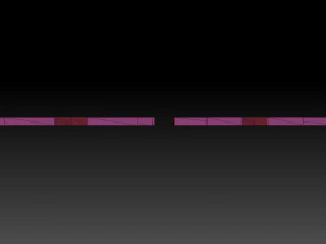 direct ornament collection 2 3D Model