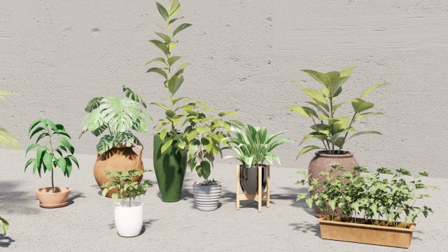 plants collection 10 s 3D Модель .c4d .max .obj .3ds .fbx .stl .blend 