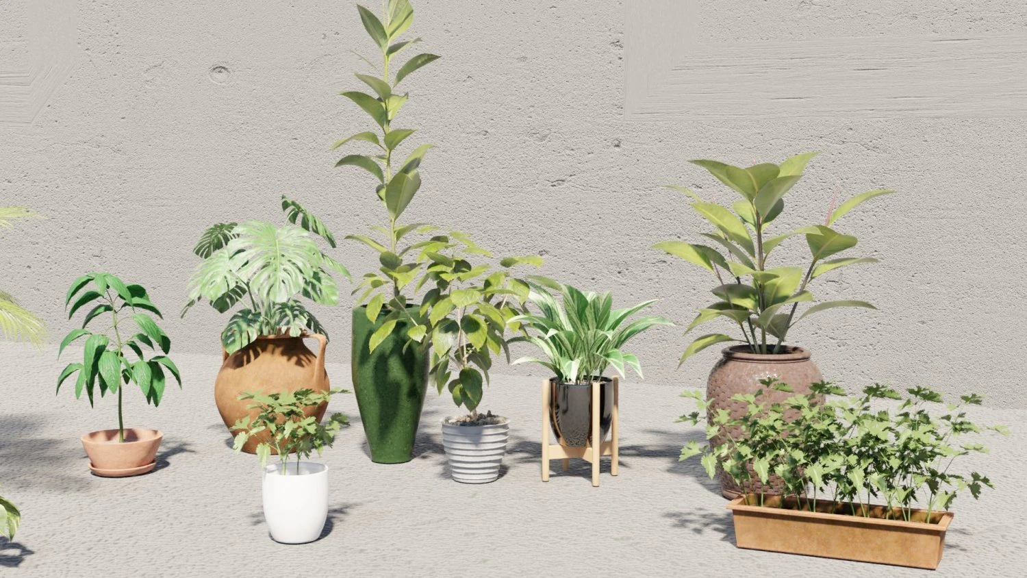 plants collection 10 s 3D Model .c4d .max .obj .3ds .fbx .stl .blend 