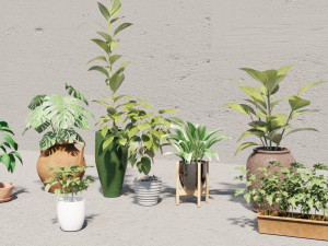 plants collection 10 s 3D Модель
