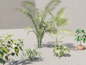 plants collection 10 s 3D Model