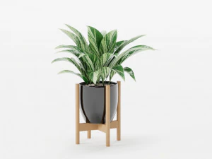 plants collection 10 s 3D Model