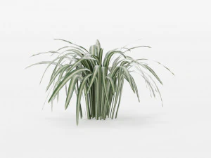 plants collection 10 s 3D Model