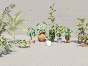 plants collection 10 s 3D Model
