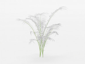 plants collection 10 s 3D Модель