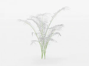 plants collection 10 s 3D Model