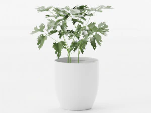 plants collection 10 s 3D Model