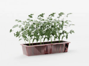 plants collection 10 s 3D Model