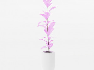 plants collection 10 s 3D Модель