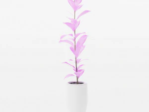 plants collection 10 s 3D Model