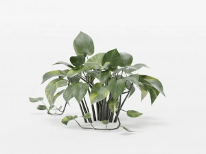 plants collection 10 s 3D Model