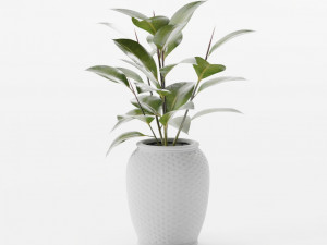 plants collection 10 s 3D Модель