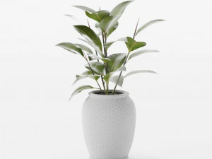 plants collection 10 s 3D Model