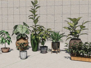 plants collection 10 s 3D Model