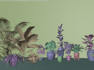plants collection 10 s 3D Модель