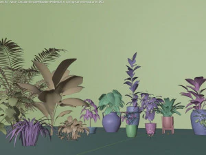 plants collection 10 s 3D Model