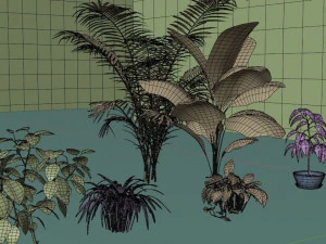 plants collection 10 s 3D Model