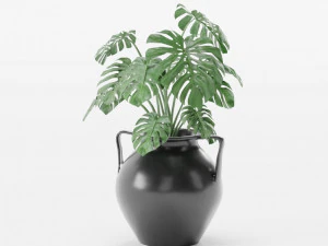 plants collection 10 s 3D Model