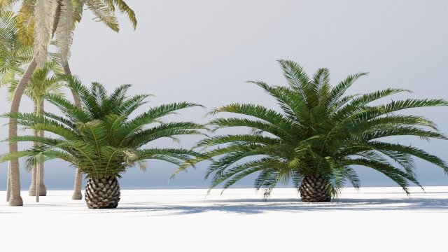 tropical trees collection 3Dモデル .c4d .max .obj .3ds .fbx .stl .blend 