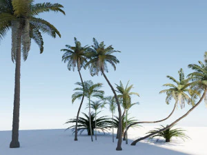 cole&ccedil;&atilde;o de &aacute;rvores tropicais Modelo 3D