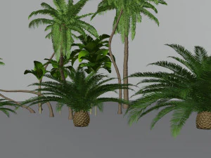 cole&ccedil;&atilde;o de &aacute;rvores tropicais Modelo 3D
