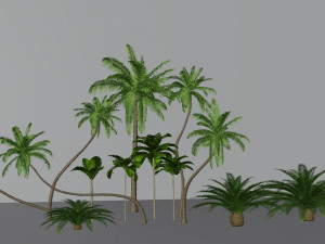 tropical trees collection 3Dモデル