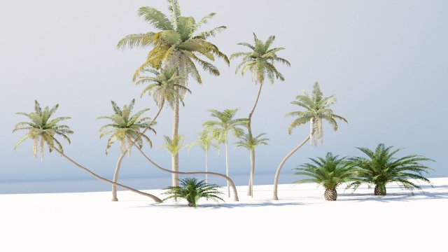 1,078 Tropical Treeline Images, Stock Photos, 3D objects