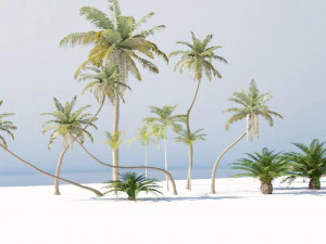 cole&ccedil;&atilde;o de &aacute;rvores tropicais Modelo 3D