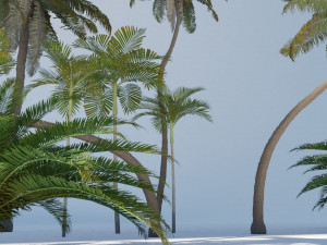 tropical trees collection 3Dモデル