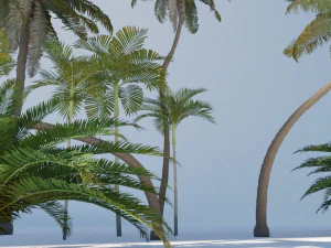 cole&ccedil;&atilde;o de &aacute;rvores tropicais Modelo 3D