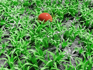 pokeball Modello 3D