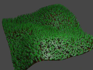 草アセット 3Dモデル