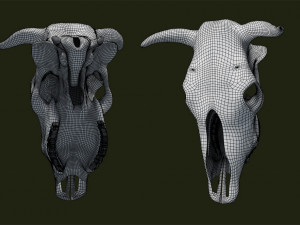 cow skull Modelo 3D