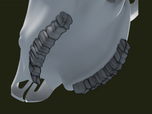 cow skull Modelo 3D