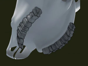 cr&acirc;nio de vaca Modelo 3D