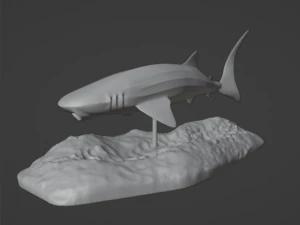 Whale Shark 3D Print Model