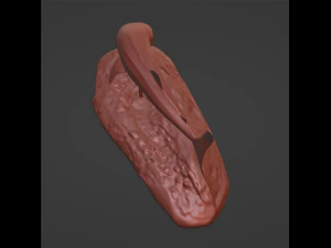 Whale Shark 3D Print Model